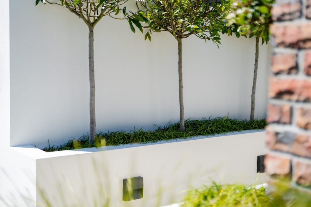 ashby_and_co-exterior_plastering-canterbury-image-mm_shoot-74 Finished plaster wall with integrated landscaping, demonstrating expert exterior plastering and rendering with a smooth textured finish suitable for modern outdoor design.